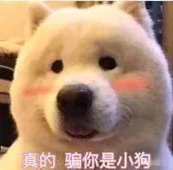 数典忘祖！台当局要对历史课纲下手：中国史并入东亚史夏商周全消失