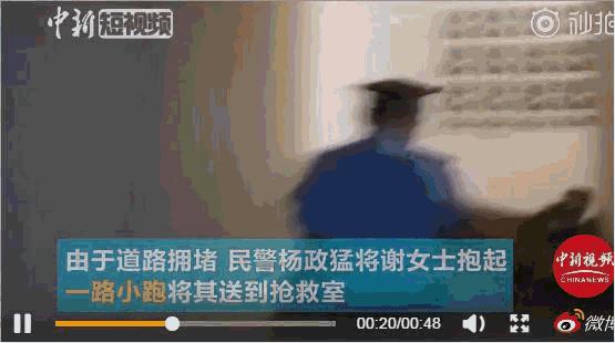 数典忘祖！台当局要对历史课纲下手：中国史并入东亚史夏商周全消失