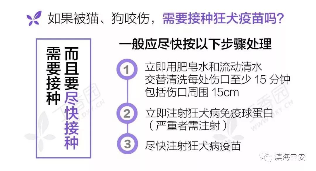深圳如何接种狂犬疫苗,狂犬病疫苗深圳接种