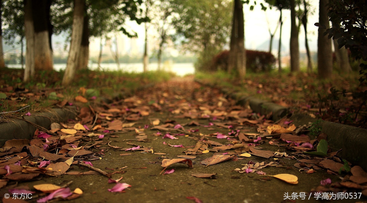 表达旷达的古诗词,形容旷达心境的诗句