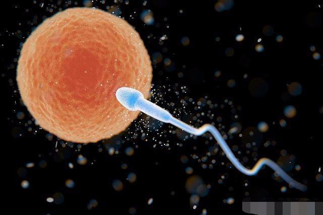 女人“排卵”时，身体会有这3种“感觉”，抓紧时机“造人”吧！