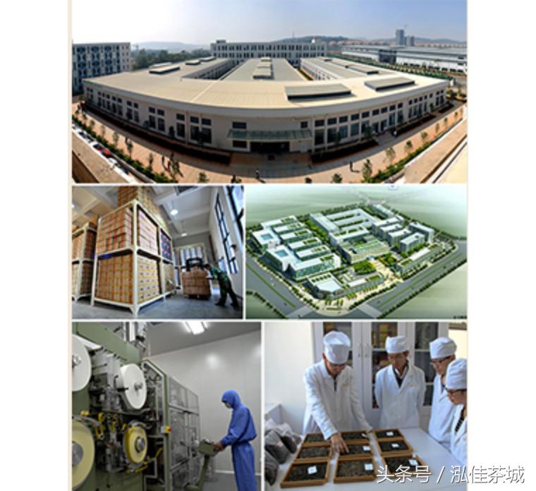 七彩云南印象生茶,七彩云南十大名茶