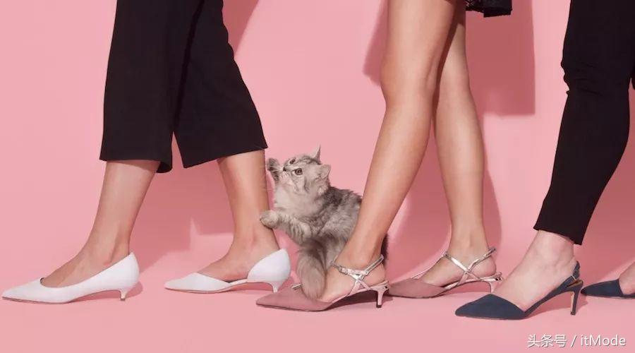 优雅又舒服的猫跟鞋,春天流行的猫跟鞋