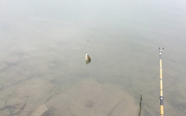 速攻饵加点它,鲫鲤鱼钓一次就上瘾,别不信,十有八九你不知