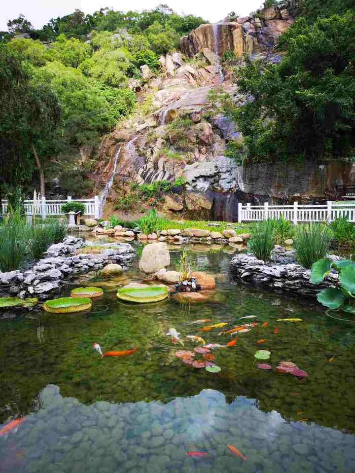 北漂定居武汉的码农,北漂码农