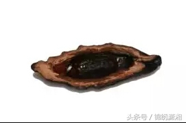 年轻人一定要远离槟榔,槟榔爱好者远离槟榔珍爱生命