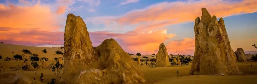 知乎高赞：这是属于地球的奇妙能力歌