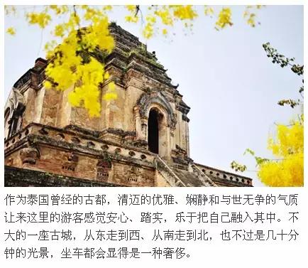 清迈美食去泰国必吃,泰国清迈美食分享