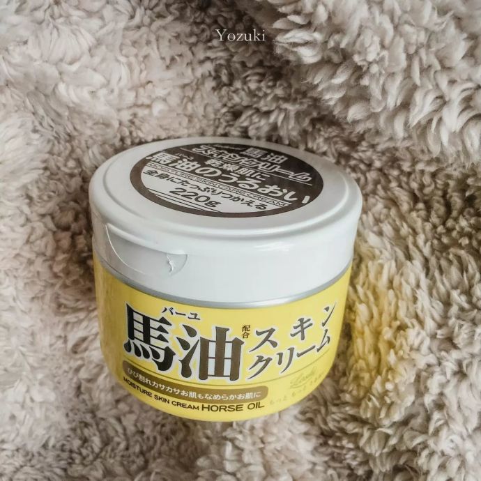 日本化妆品好物,去日本一定要买的彩妆