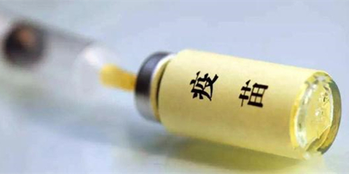 铲屎官自己在家给狗狗打疫苗,铲屎官给狗狗打针