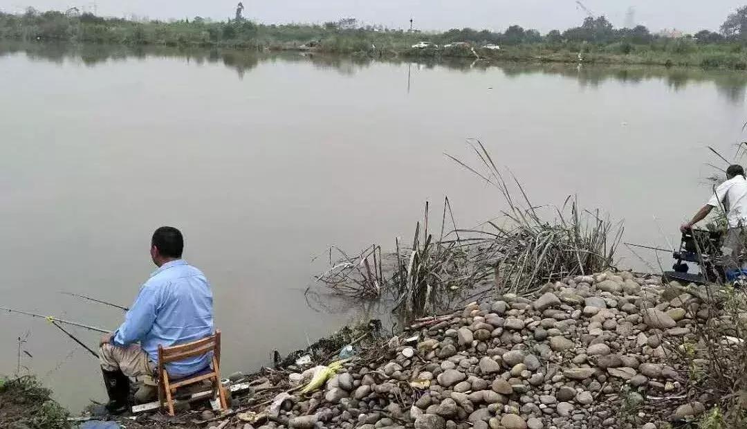 最新成都周边大型水库鱼情,成都周边野钓水库有哪些地方