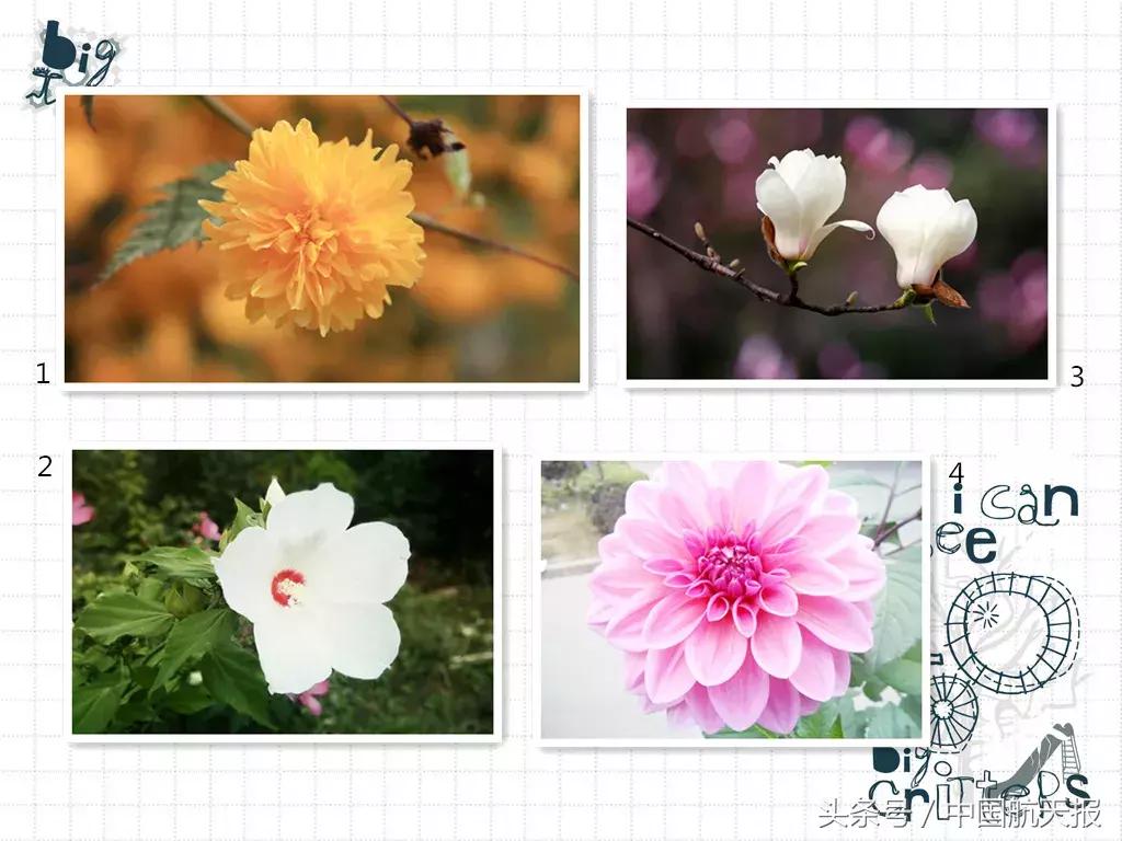 在航天集团上班,航天科技集团待遇