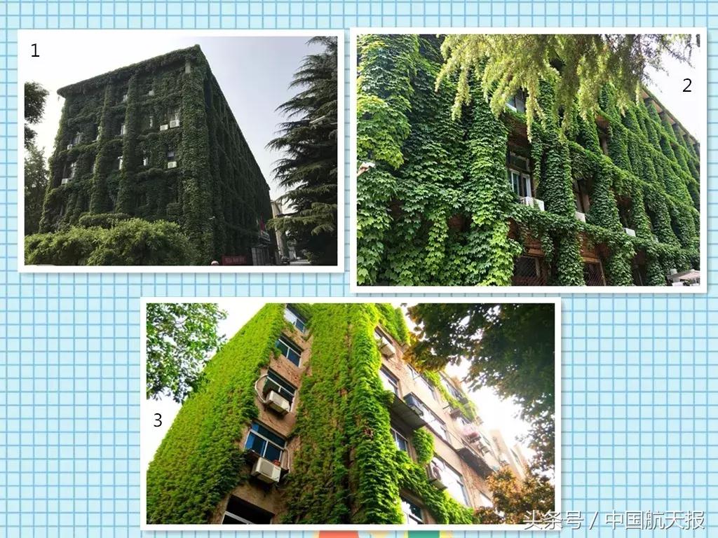 在航天集团上班,航天科技集团待遇