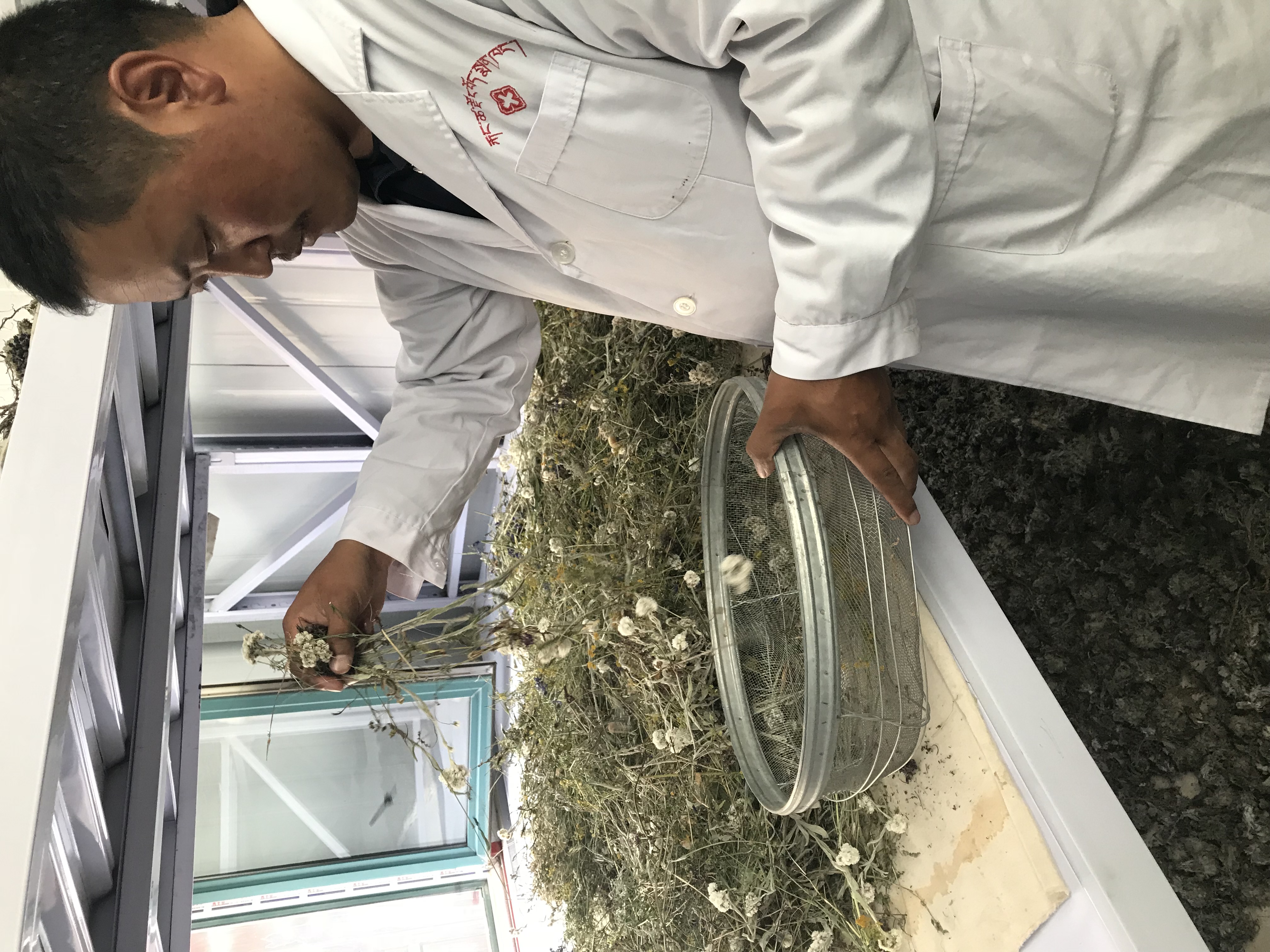 神奇的雪域高原,西藏的神秘藏医藏药