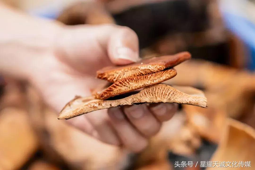 广东顺德正宗龟苓膏,顺德黄老太龟苓膏做法