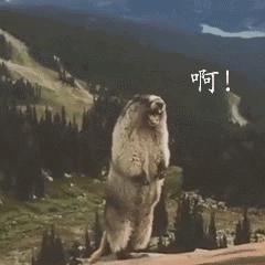 为什么很多姑娘都不能细看？