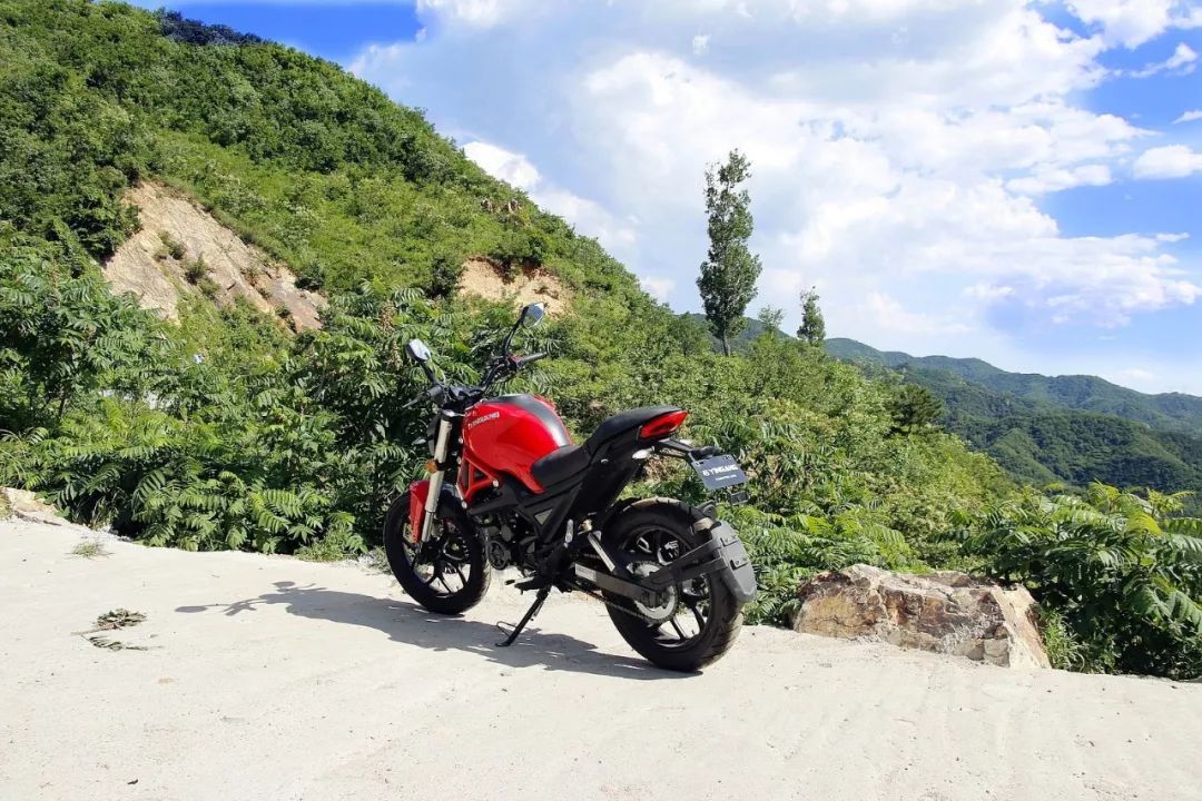 小怪兽长成了大怪兽,银钢大怪兽250测评