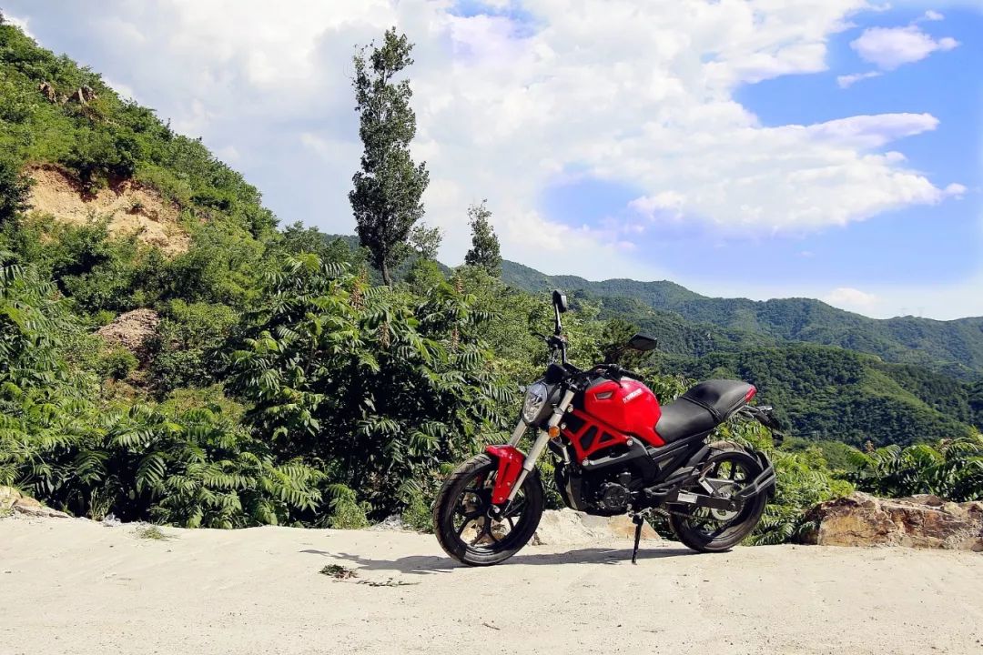 小怪兽长成了大怪兽,银钢大怪兽250测评