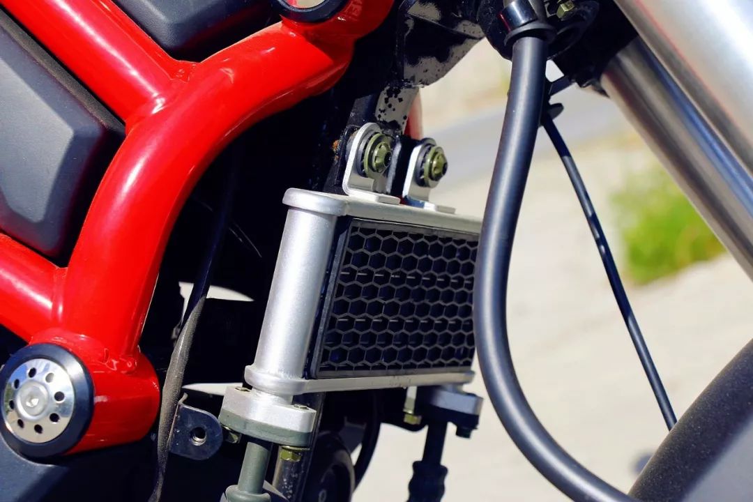 小怪兽长成了大怪兽,银钢大怪兽250测评