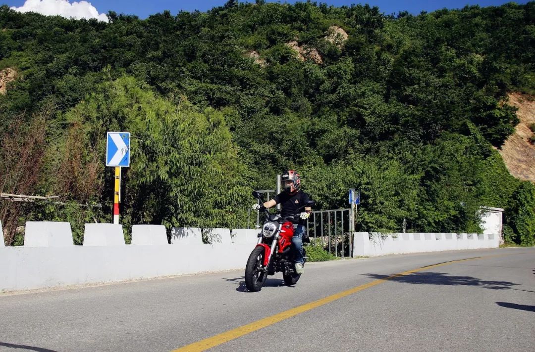 小怪兽长成了大怪兽,银钢大怪兽250测评