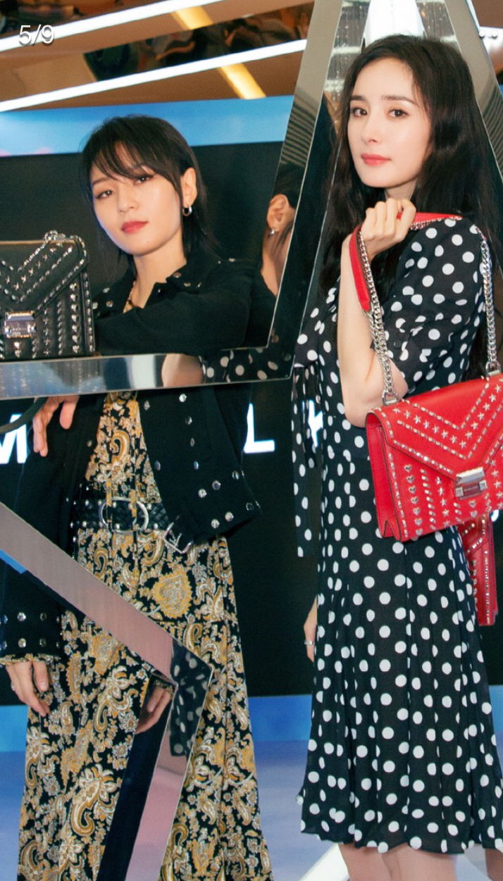 刘雯同款香奈儿包包多少钱,刘雯同款迪桑娜包包