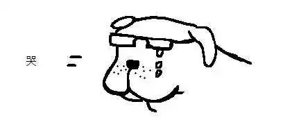 外国人学中国多音字搞笑视频,老外学中文也用注音搞笑评论