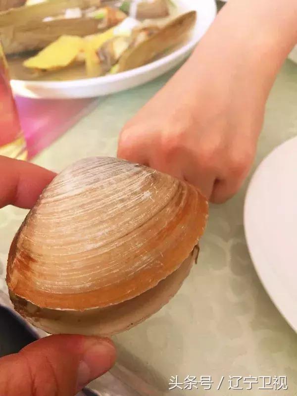 辽宁海岛游广鹿岛,大美大连开发区沿海风光