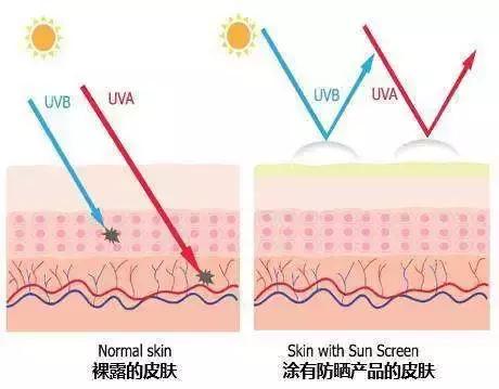 买1送1高倍防晒霜,买一送一99两瓶防晒霜