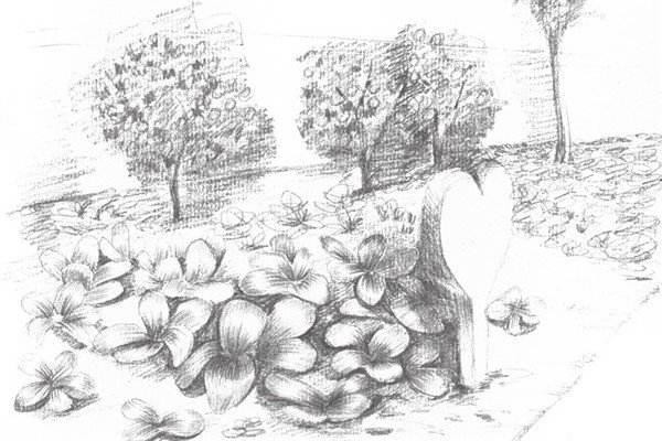 素描静物怎么自学,素描教学视频素描入门教程