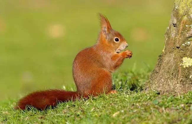 端午游玩攻略儿童水世界,亲子游玩水世界