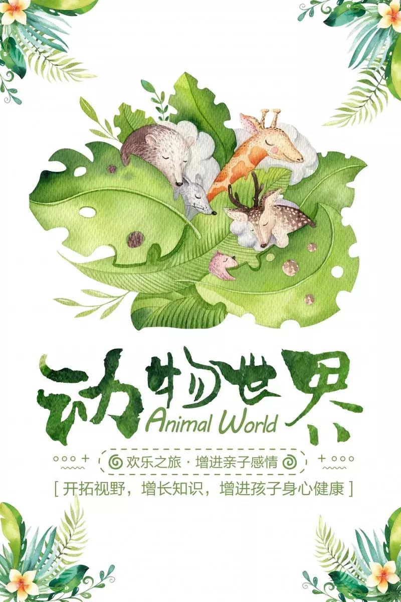 端午游玩攻略儿童水世界,亲子游玩水世界