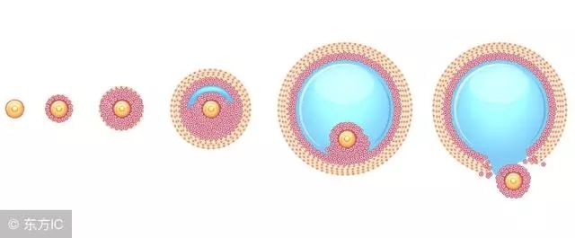 备孕快速怀孕心得分享,备孕成功的最佳经验