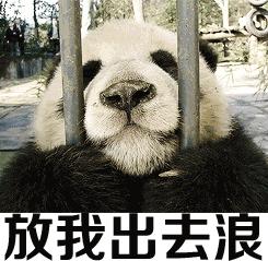 郑州坐高铁去香港票价,郑州坐高铁到香港需要什么流程