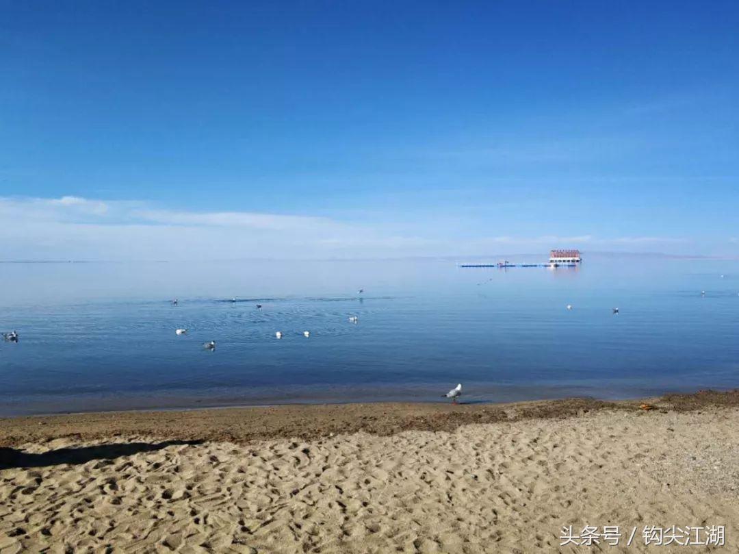 野钓日常钓鱼的乐趣只有钓鱼人懂,和钓友一起看钓鱼经验分享