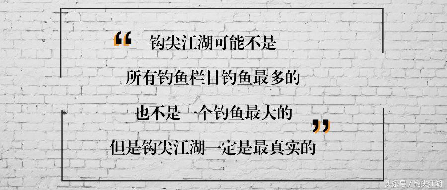 野钓日常钓鱼的乐趣只有钓鱼人懂,和钓友一起看钓鱼经验分享