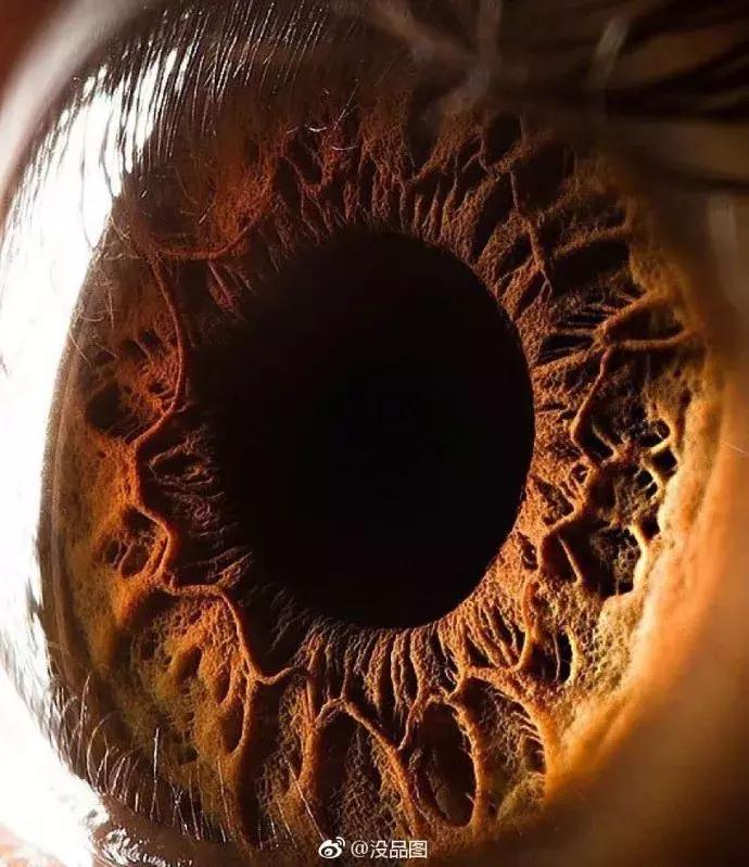 1945年德国集中营那一箱无人认领的婚戒