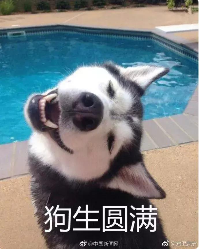 1945年德国集中营那一箱无人认领的婚戒