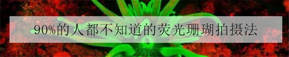 给所有朋友的忠告,给大家的五点忠告人生感悟