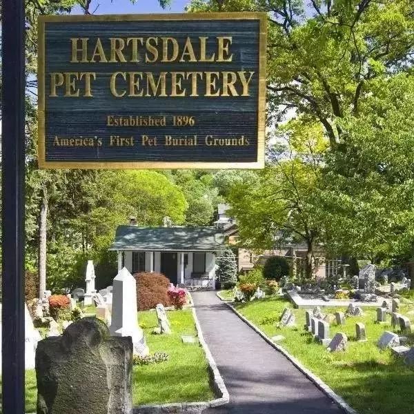 回到喵星球,回到喵星的猫咪会回来找我吗