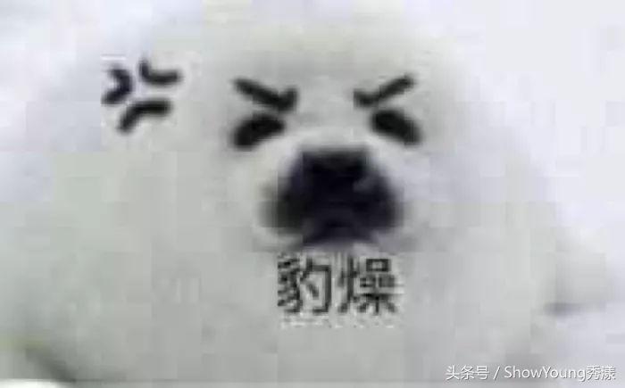 盘点14款网红坑爹产品,推荐几款适合年轻人的网红产品