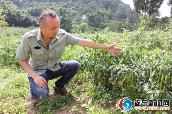 退队军人冯应三返乡创业流转700亩土地助农增收