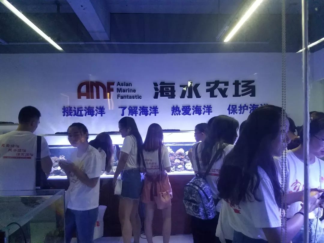 打造创新创业发展平台,创新创业孵化平台建设