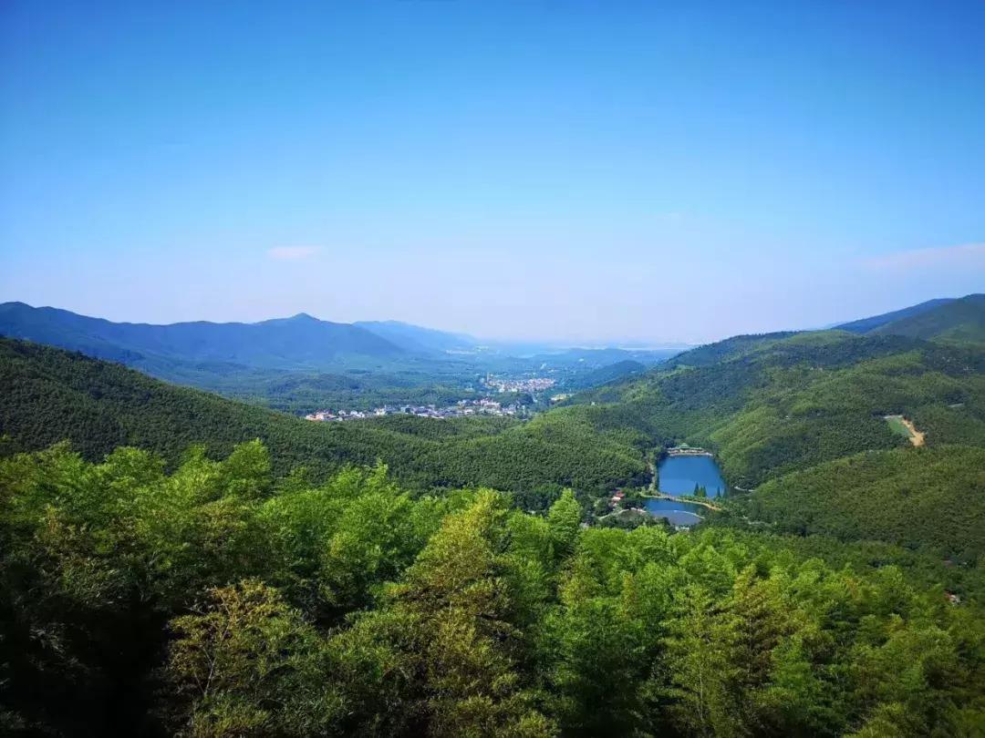 寻一方山水享一片清凉,宜兴竹海寻一方仙境嗅自然之香