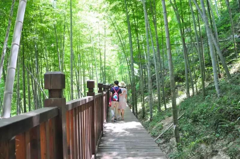寻一方山水享一片清凉,宜兴竹海寻一方仙境嗅自然之香