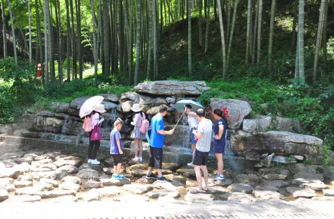 寻一方山水享一片清凉,宜兴竹海寻一方仙境嗅自然之香