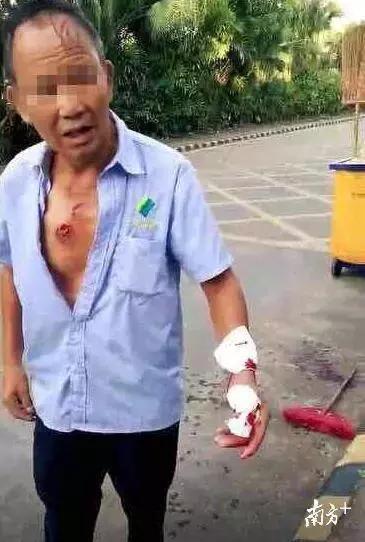 狗咬人被打死狗主人要求赔偿,藏獒先生医疗费谁来付