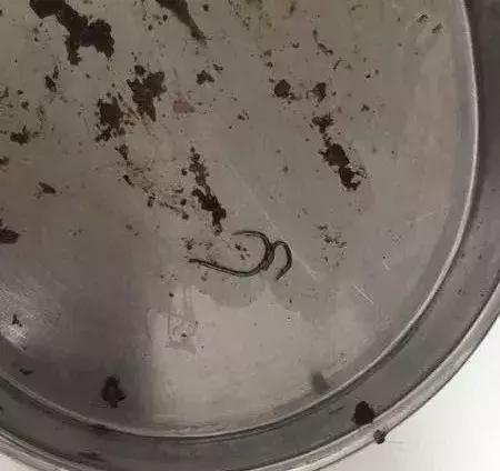 狗咬人被打死狗主人要求赔偿,藏獒先生医疗费谁来付