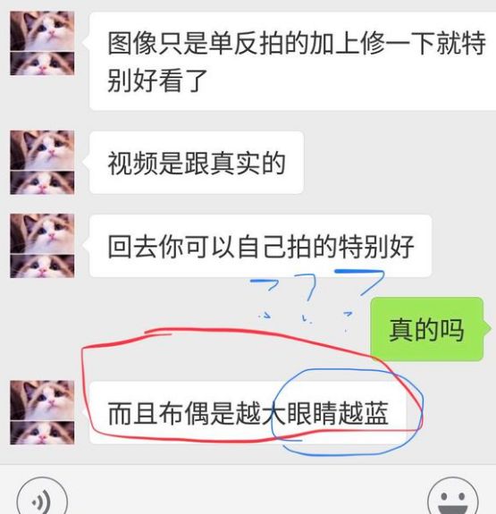 揭露猫贩子及网络买猫的骗局,揭秘那些网上卖猫的人