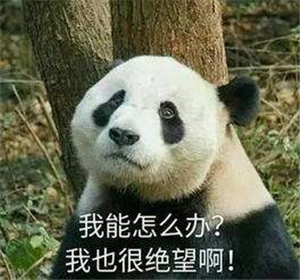 文档方框打勾技巧,如何给文档中打勾