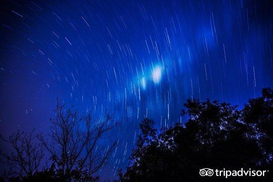 黄金海岸观鲸游,冲浪观鲸